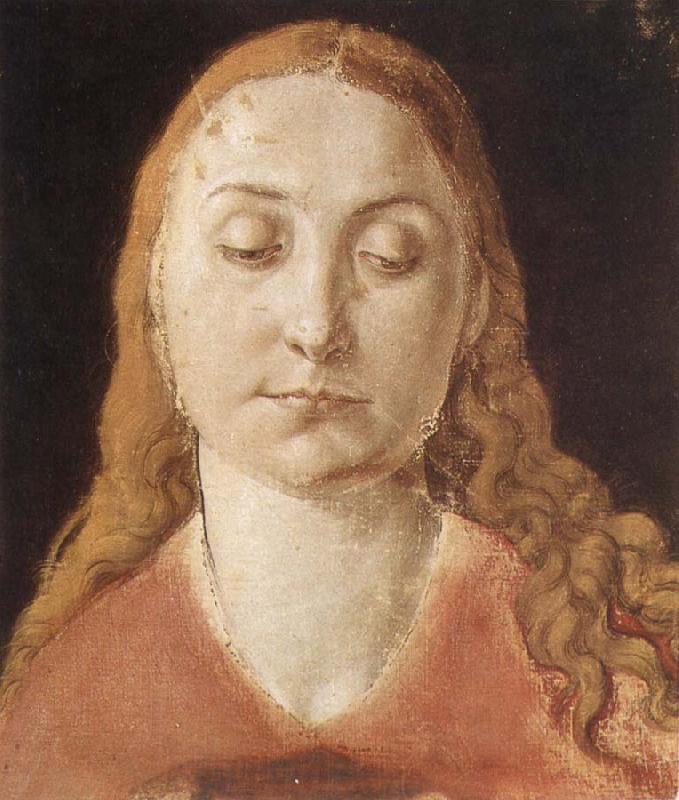 Albrecht Durer Portrait of a woman with Loose Hair